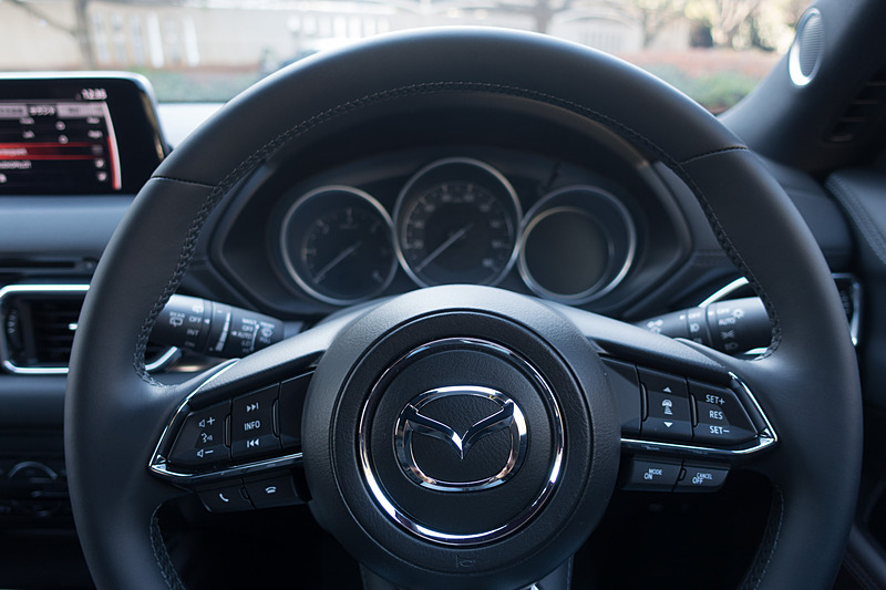 基本的な操作はステアリングにビルトインされたスイッチで行なえる。純正オプション設定のよいところ