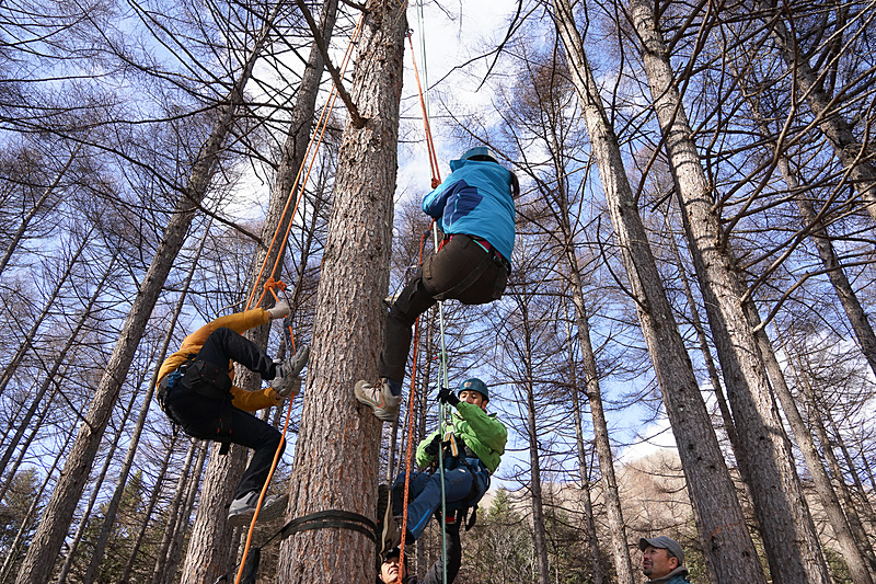 徐々に慣れてスイスイ登っていく