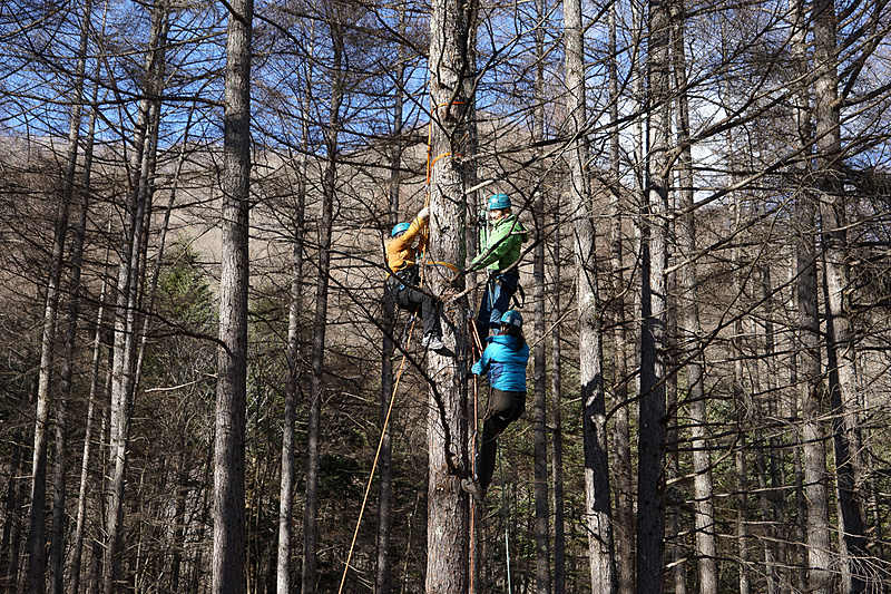 ほぼ最高地点まで登った。降りる際は緩めるだけ