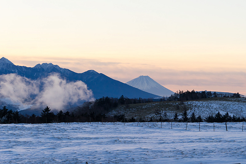 遠くには富士山がシルエットになっている