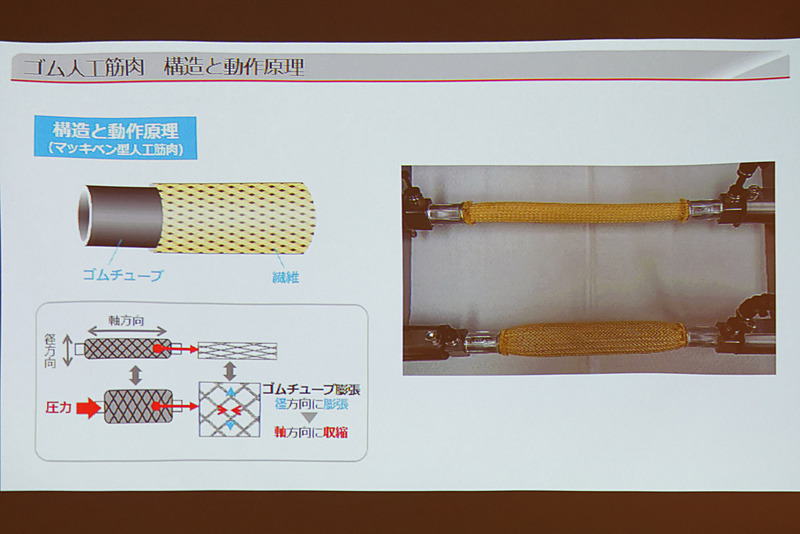 空気圧で収縮するマッキベン型人工筋肉としている