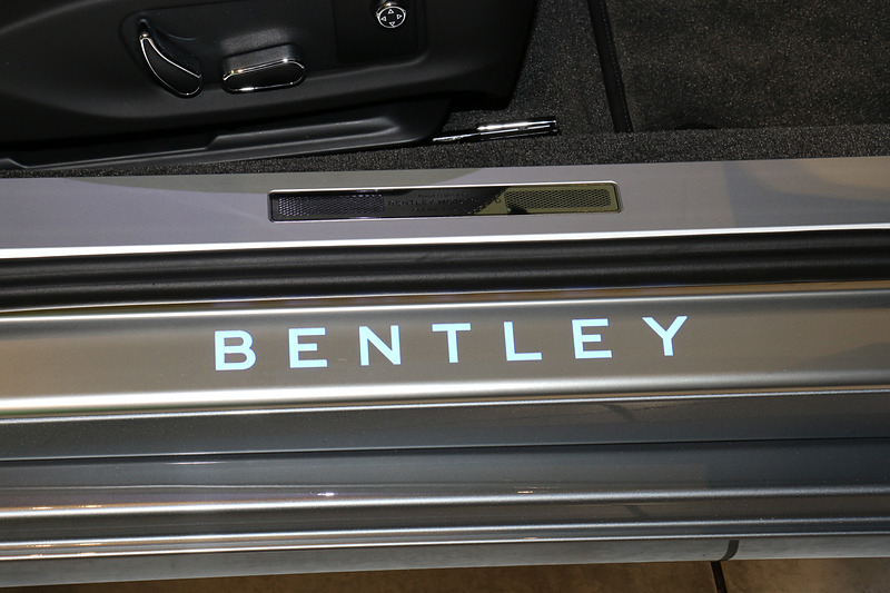 サイドシルは発行するメーカーロゴとメタルパネルの2つで彩る