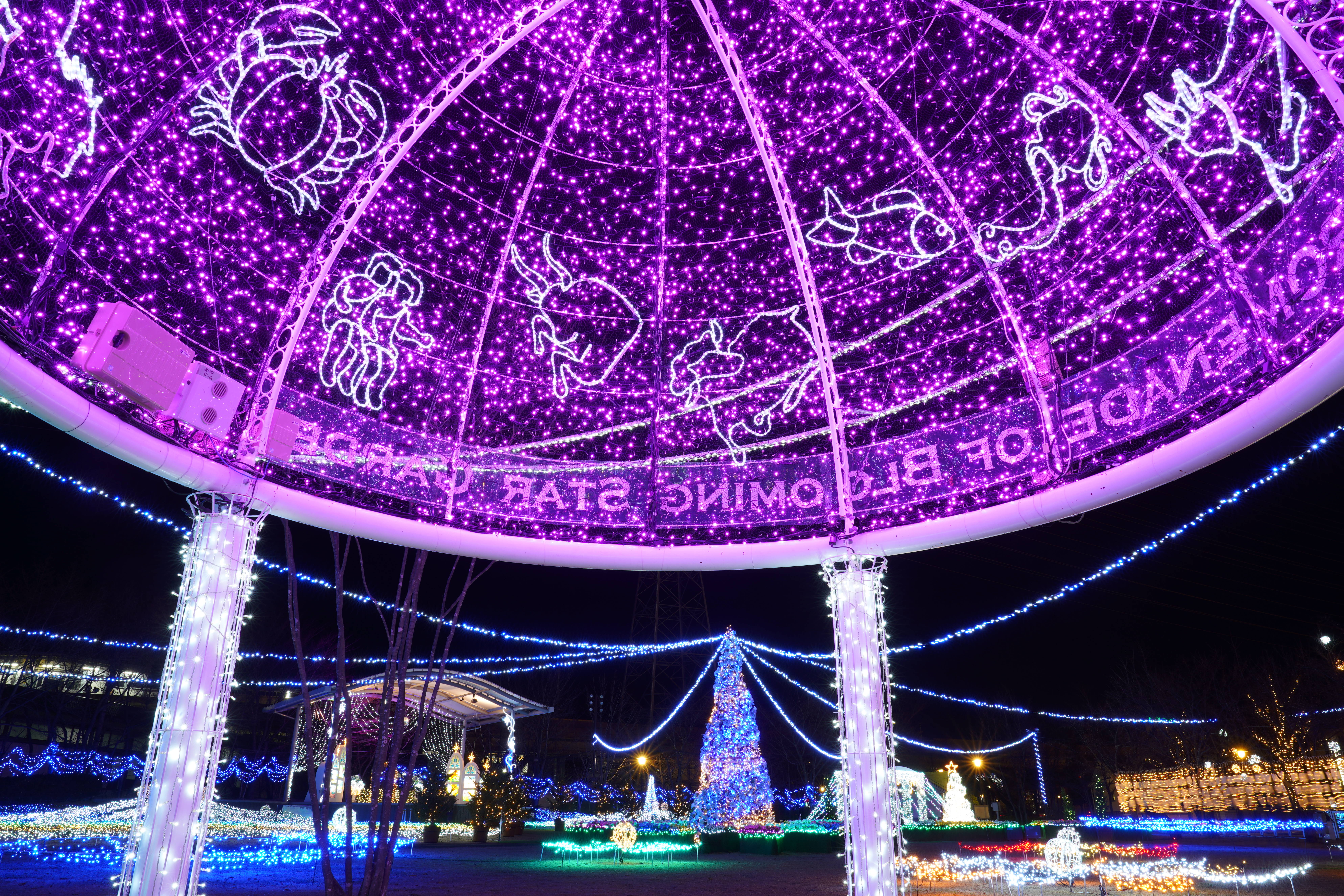 【作例】星座を散りばめたドーム型のイルミネーションをローポジションから撮影。画面右下のイルミネーションが流れているのは風で揺れているからだ。撮影データ/ソニーα7R III FE24-105mm F4 G OSS（24mm域） 絞り優先オート F16 8秒 +1.0EV ISO100 WB：AUTO（ホワイト優先） クリエイティブスタイル：夜景