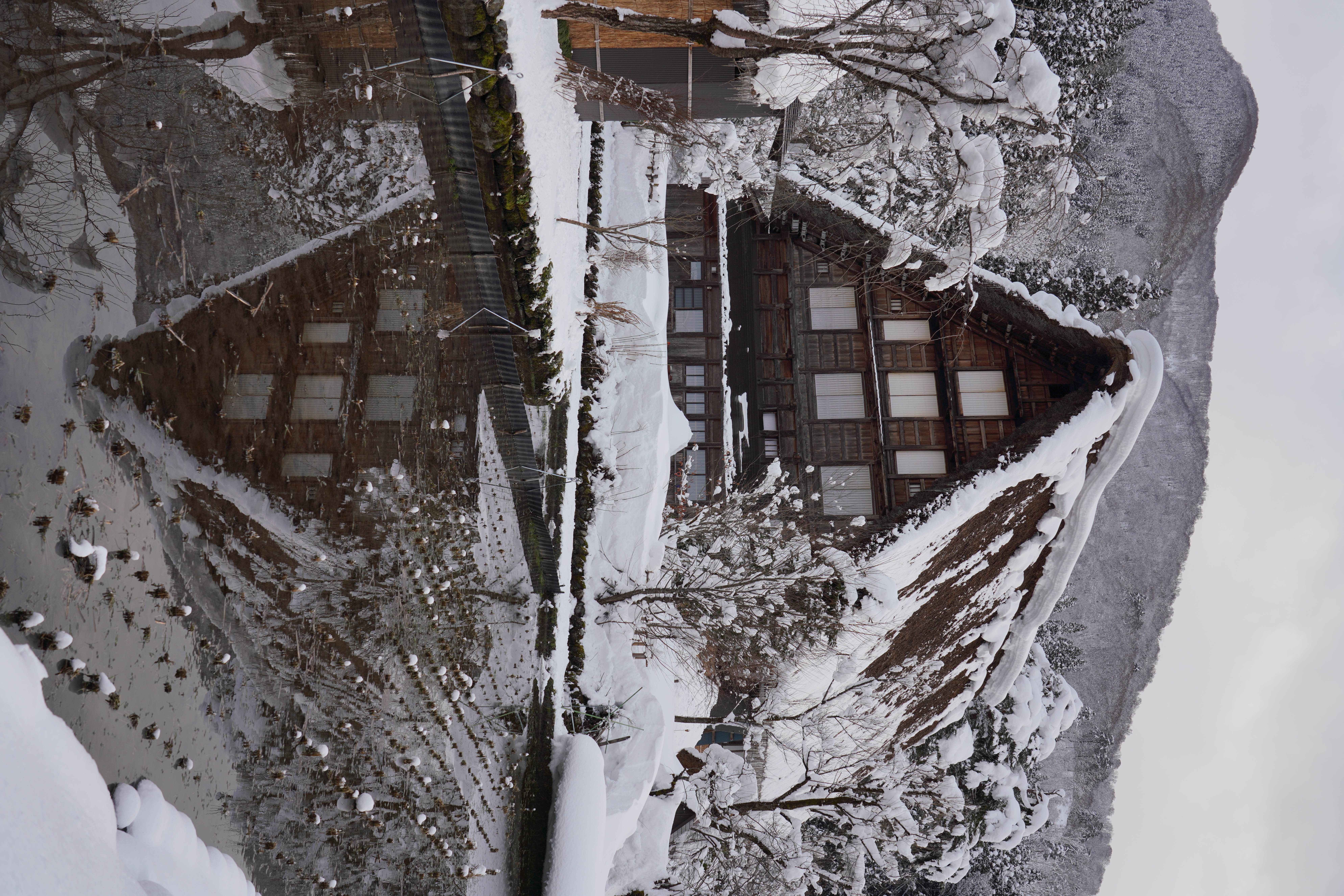 【作例】村営駐車場が閉まる1時間前ということで、観光客の姿もまばらになってきた。観光客が入らないタイミングを狙って、田んぼに映る合掌造りを狙う。輝度差が大きいので、DROという階調補正機能を最強のLv5に設定して撮影している。撮影データ/ソニーα7R III FE24-105mm F4 G OSS（38mm域） 絞り優先オート F8 1/125秒 -1.0EV ISO100 WB：オート0（ホワイト優先） クリエイティブスタイル：スタンダード DRO：Lv5