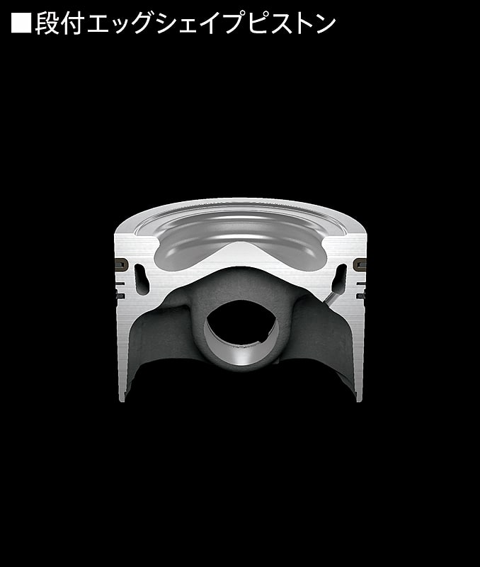 段付エッグシェイプピストン