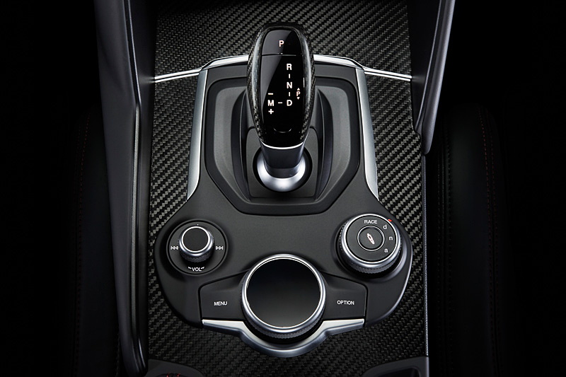 カーボンファイバー・シフトノブインサート