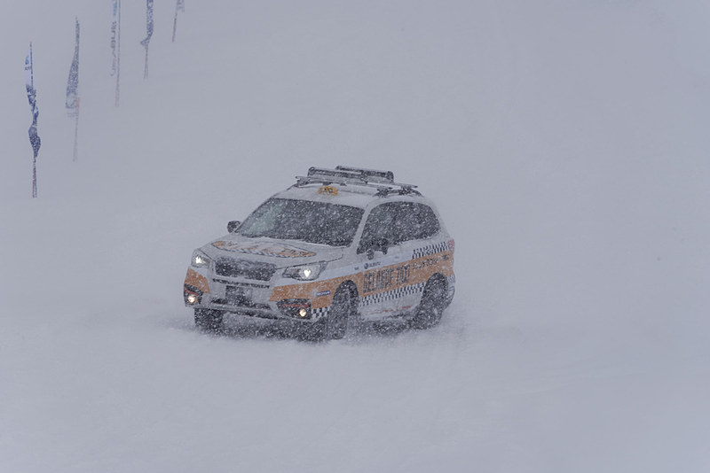 テールを振りながら降りてくる