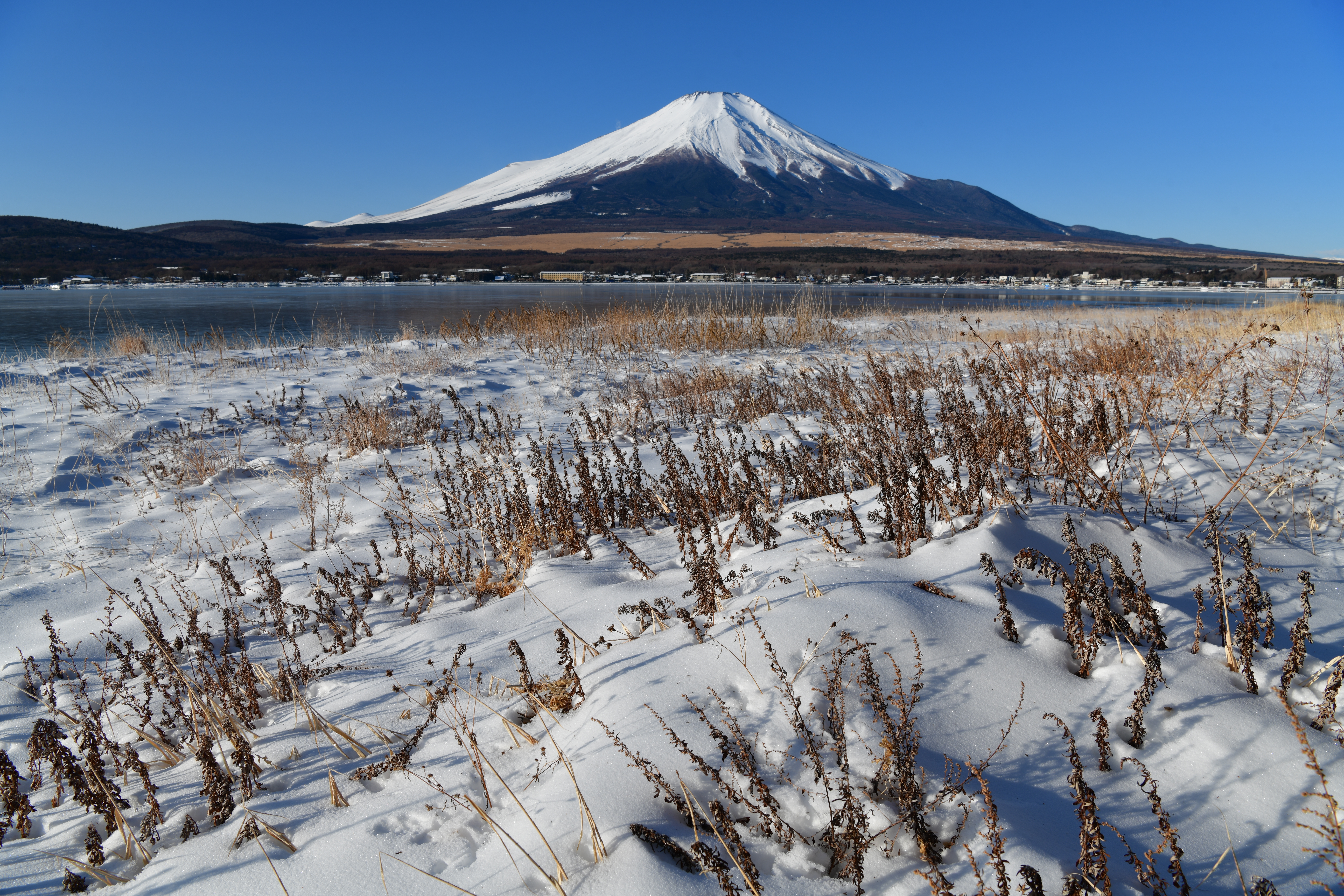 【作例】F11で撮影。ピント位置は画面の下3分の1あたり。手前はなんとかピントが合って見えるが、富士山は少しピンボケ気味だ<br>撮影データ／ニコン D850 AF-S NIKKOR 24-70mm F2.8E ED VR（26mm域）マニュアル露出 ISO64 WB：自然光オート ピクチャーコントロール：風景