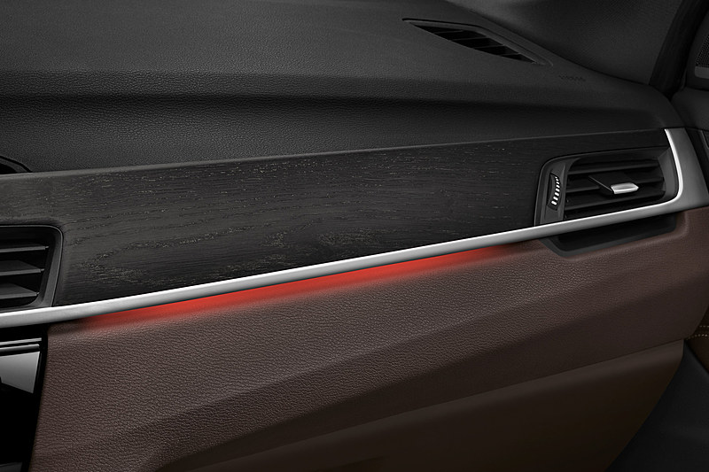 オーク・グレイン・マット・ウッド・インテリアトリム / パール・クローム・ハイライト