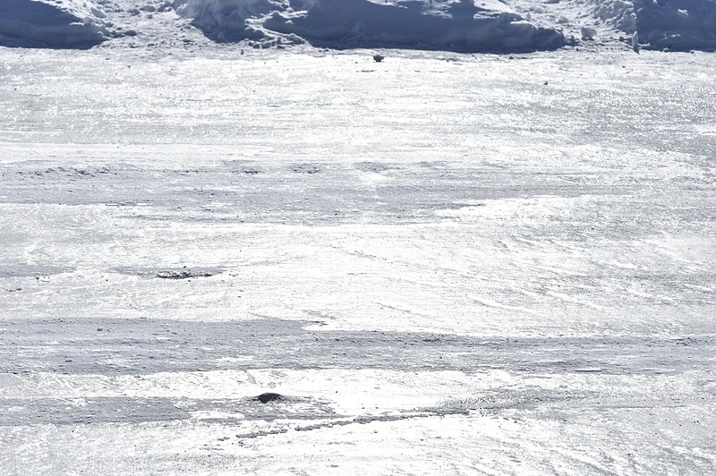 2018年の女神湖は、池の水が外気で40cm凍り付いており、さらに上から水をまいて5cmの氷を追加。計45cmの氷上に雪でコースを設定してトレーニングが行なわれた