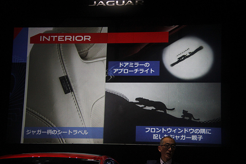 ジャガーの親子をモチーフにしたグラフィックなど、ユニークなデザインが与えられる