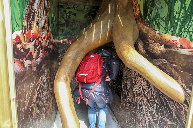 1階は地中のイメージ。いきなり木の根の下に潜り込む感じ？