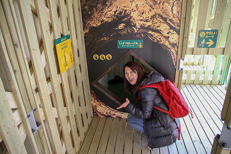 難易度3のアスレチックは？