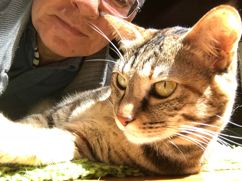 居候の「ウメ」と