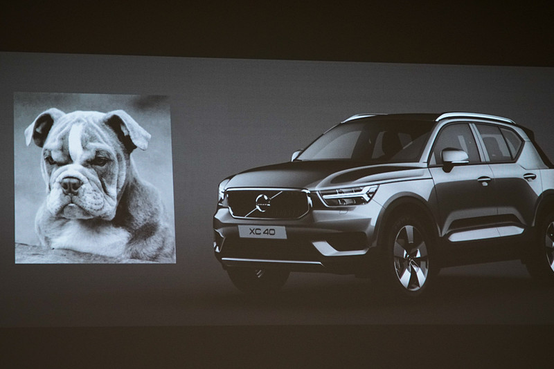 XC40のフロントフェイスは異なるデザインにするため、犬のイングリッシュブルドッグからイメージを得た
