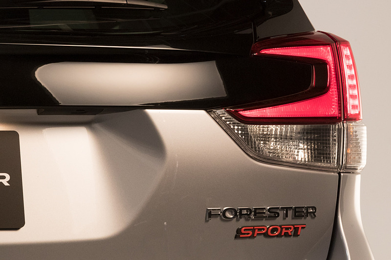 リアコンビランプとバッヂ類