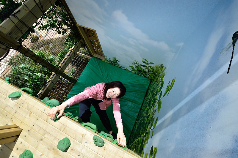 難易度の違うルートがいくつもあるので、何度チャレンジしても楽しめます!!