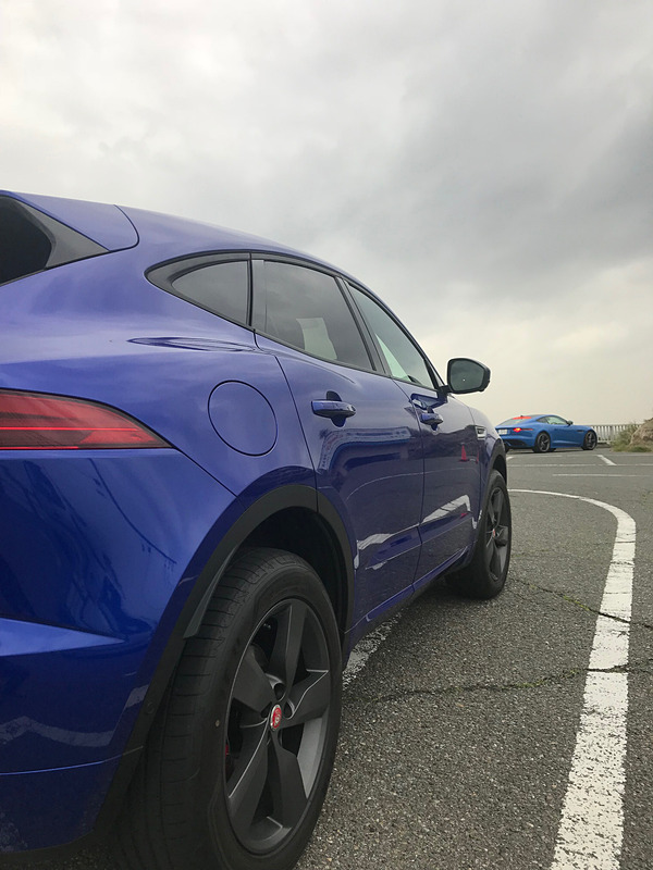 リアフェンダーの盛り上がりなどは「F-TYPE」にインスパイアされた。そのF-TYPEと