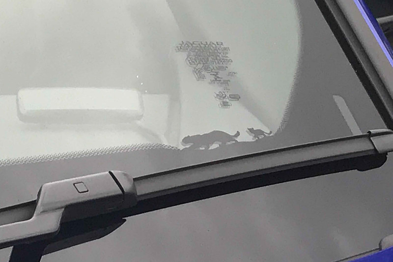 E-PACEに隠れたベビージャガー