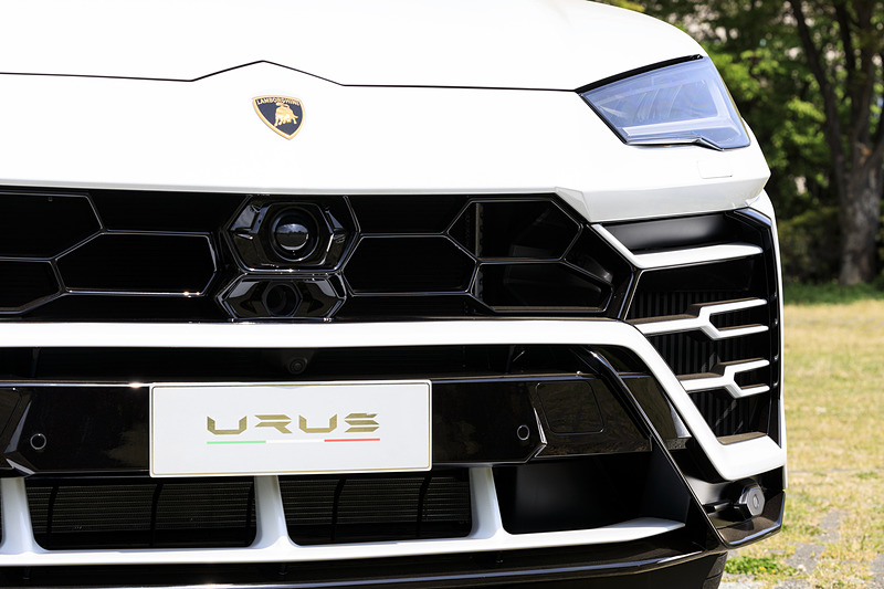 ヘッドライトとグリル端はともにY字をイメージした造形