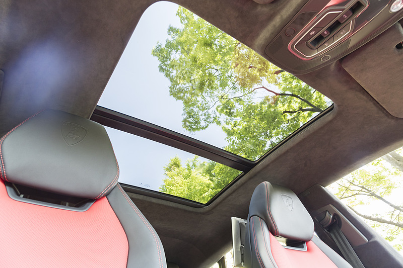 開口部の大きなパノラミックルーフ