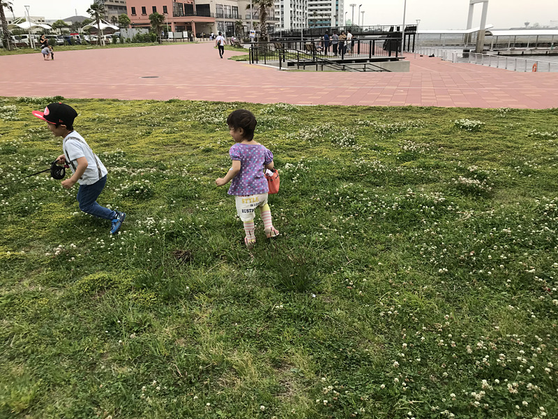 海辺の遊歩道には芝生も広がっていて、子供たちや愛犬を遊ばせるのにちょうどいいところです
