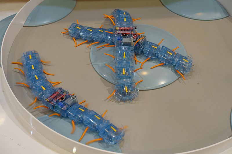 タミヤ 楽しい工作シリーズ「ムカデロボット工作セット」（7月発売、3200円［税別］）