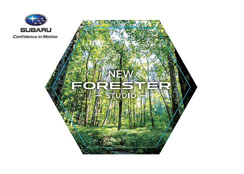 限定オリジナルステッカー