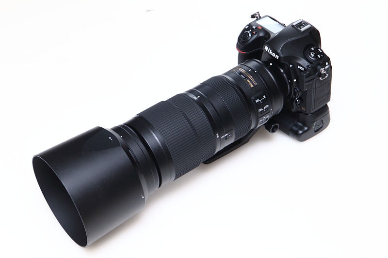 「AF-S NIKKOR 200-500mm f/5.6E ED VR」は高画素のD850でも十分な性能を発揮。とてもコストパフォーマンスの高いレンズだ
