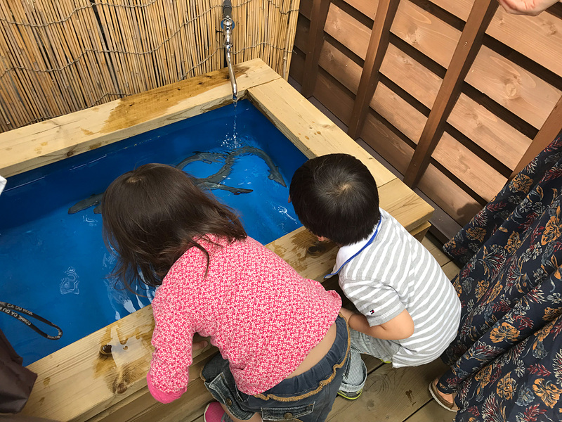 入り口わきに置いてある水桶には鰻が泳いでいて、自由に触れます。初めてのナマ鰻の感触は、「ヌルッとしてた～」（娘談）。子供にもいい経験になりますよね