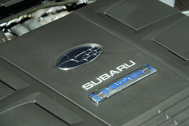 「e-BOXER」のバッヂなどを配した「Advance」