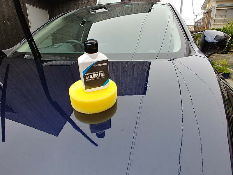 メンテナンスキットに含まれるシミ取り剤とシミ取り用のスポンジ