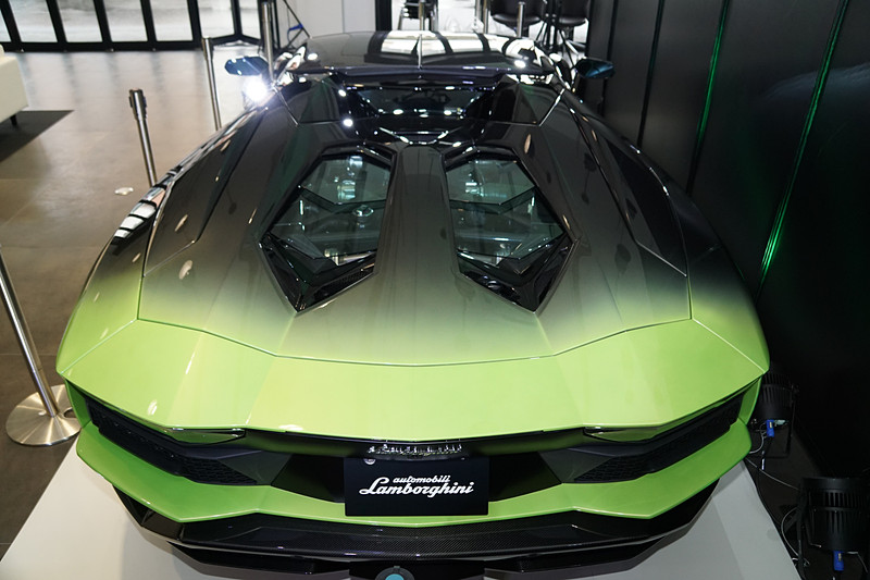 「アヴェンタドール S ロードスター 50th Anniversary Japan」の地バージョン。水・地・火・風・空という5モデルがあり、それぞれワンオフで1台だけが生産されるというとても貴重なモデル