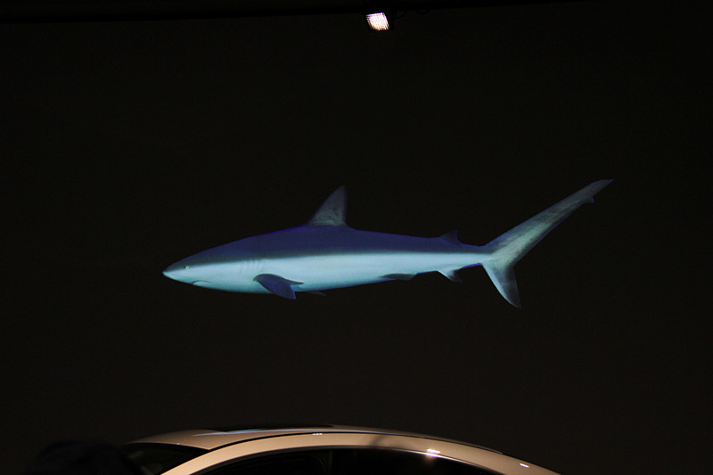 新型CLSのデザインはオグロメジロザメからヒントを得た