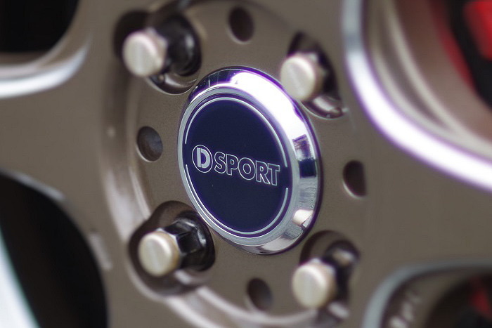 D-SPORTのロゴが入ったオリジナルセンターキャップが付属