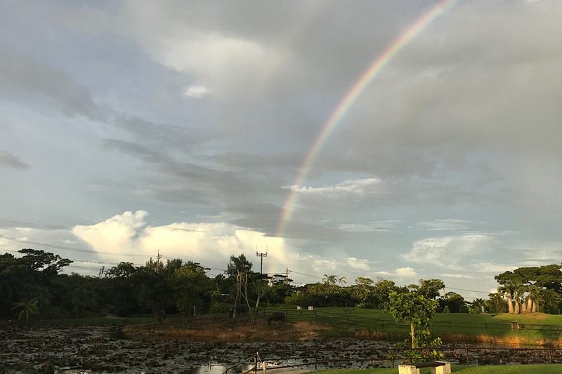 雨上がりの小浜島で出迎えてくれた虹