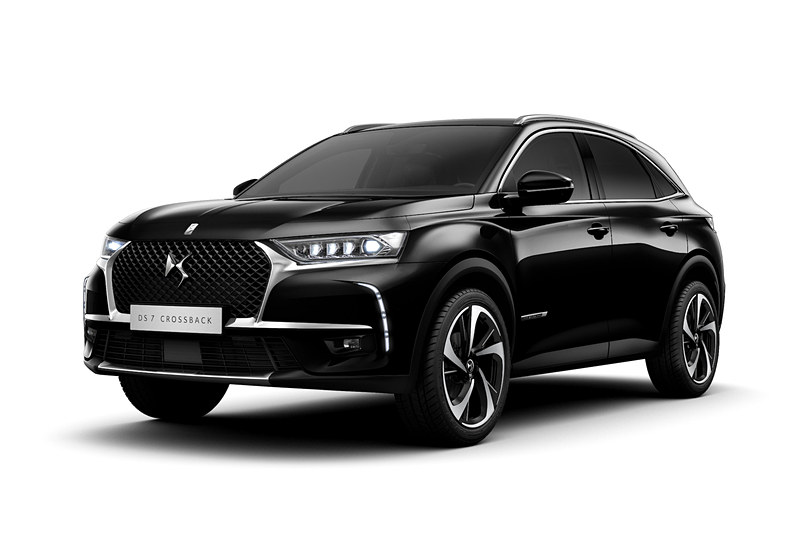 ノアール・ペルラネラ（メタリック）