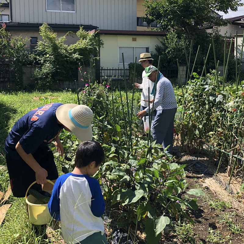 父がコツコツと育てた畑で、野菜の収穫を楽しむ甥っ子たち。都心ではなかなかできない体験に、みんな楽しそうです