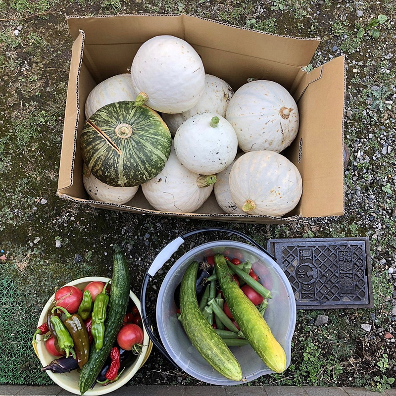 収穫した“ほんの一部”だけでもこんなに！　とても食べきれないので、いつもご近所に配っているようですが、そんな時のためにもクルマの「積みやすさ」は重要ですね