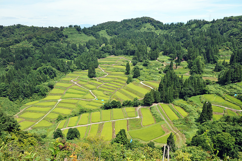 うぶすなの家からクルマで10分ほどのところにある「慶地の棚田」
