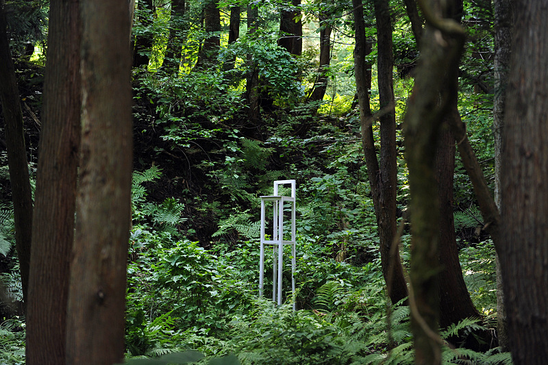 うっそうとした森の中に突然、いす！