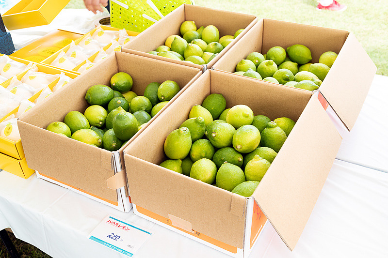 広島のレモン関連の出展もあり