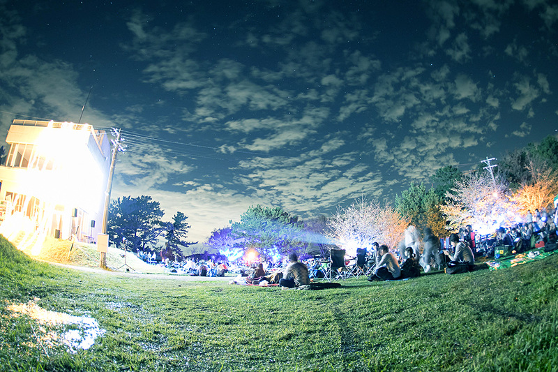 過去に開催された森の映画祭の様子