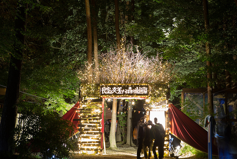 過去に開催された森の映画祭の様子