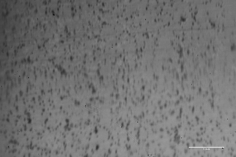 新開発の特殊試験機で撮影した接地面の画像。左の「吸水材あり」のほうが、右の「吸水材なし」と比べて黒く写った真実接触部が多いことが分かる