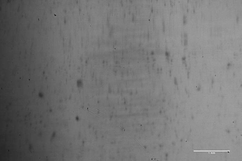 新開発の特殊試験機で撮影した接地面の画像。左の「吸水材あり」のほうが、右の「吸水材なし」と比べて黒く写った真実接触部が多いことが分かる