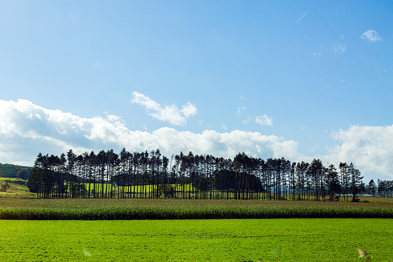 北海道らしい壮大な景色を楽しみつつ景勝地・洞爺湖方面に移動