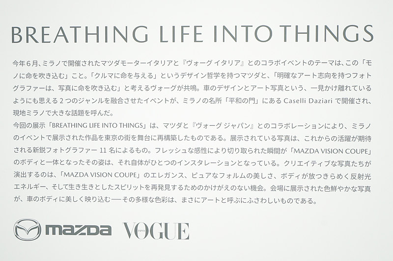 ブース解説拡大。ヴォーグ イタリアとコラボするいきさつが書かれている