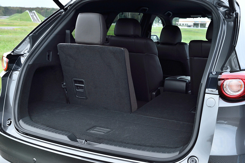 写真は「25T L Package」