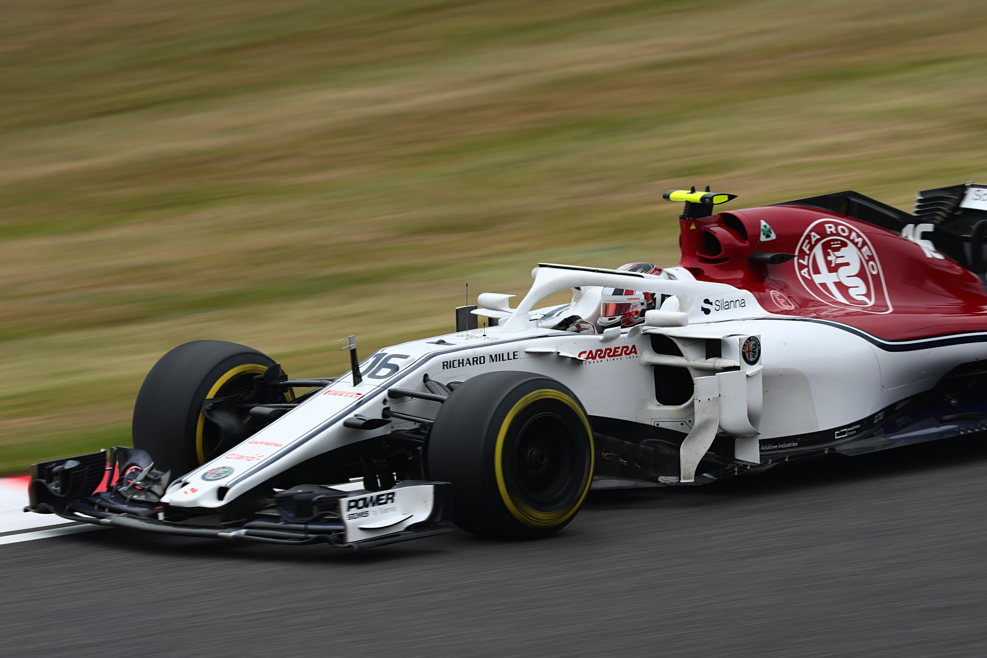 撮り始めてすぐに当たり。すんなり撮れてホッとした